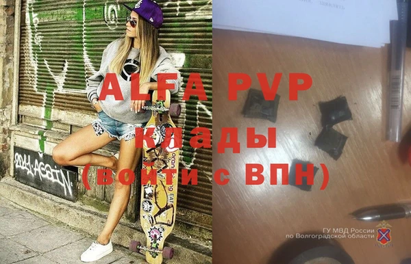 стафф Алзамай