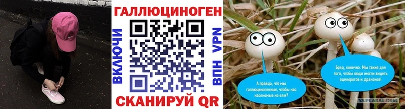 Галлюциногенные грибы Magic Shrooms  где купить   Ясный 